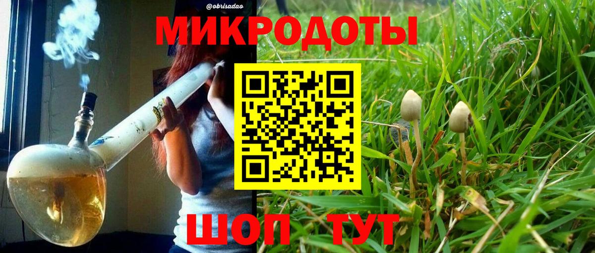 Галлюциногенные грибы Cubensis Калач-на-Дону