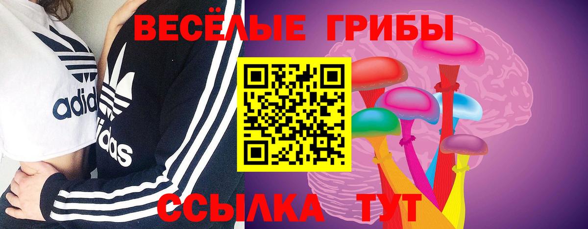 Псилоцибиновые грибы прущие грибы  Вход с VPN  Калач-на-Дону 